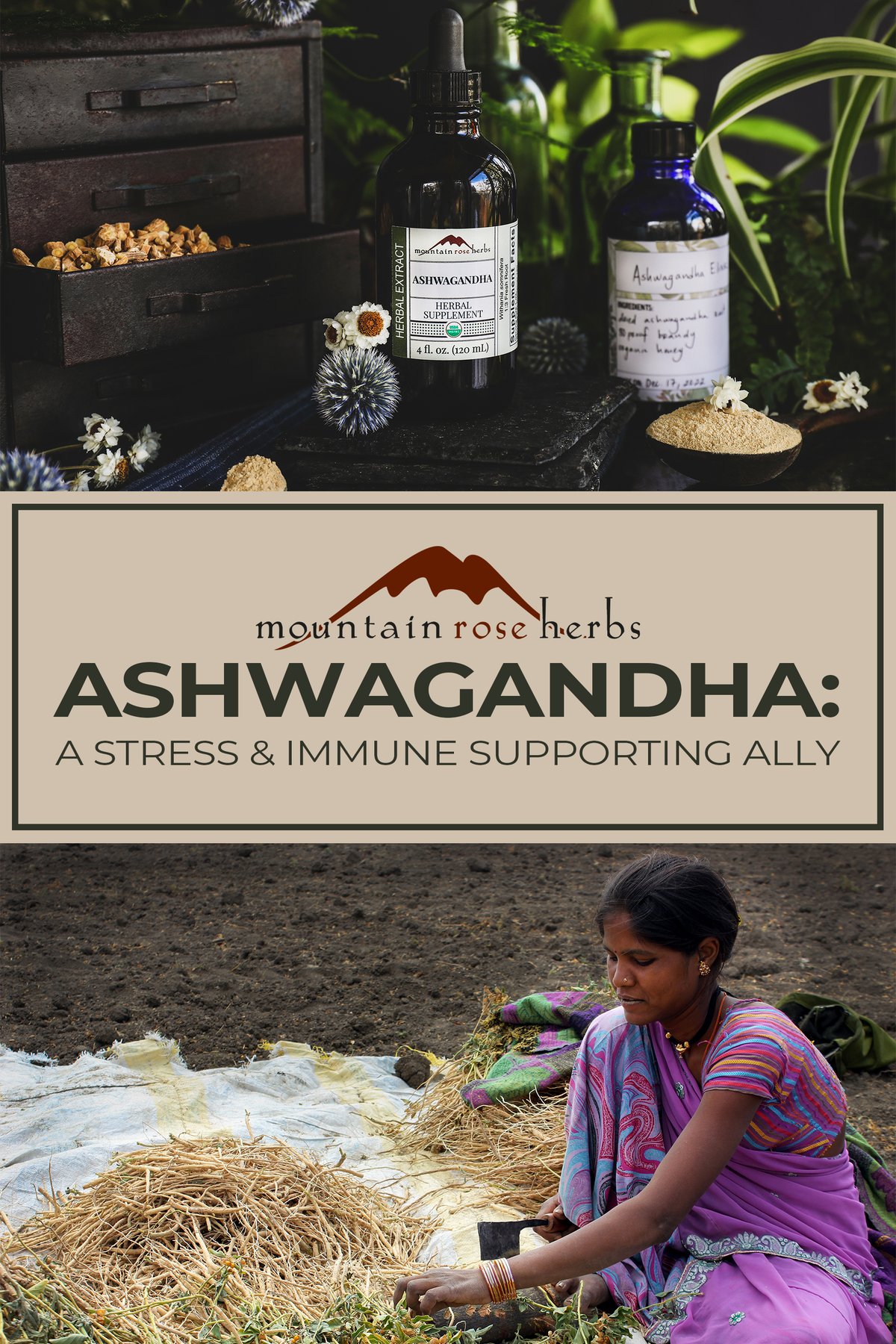 Ashwagandha Uses and Benefits + Tasty Recipes